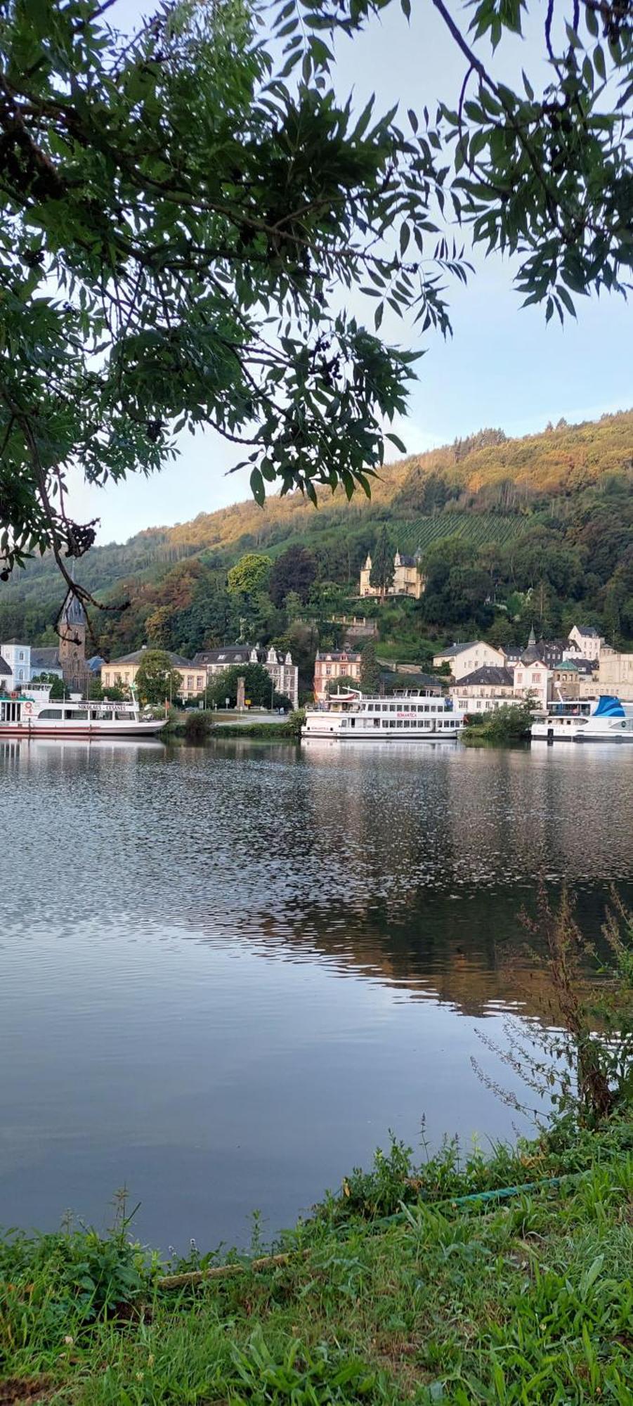 Ferienwohnung Wilk Verbandsgemeinde Verbandsgemeinde Traben-Trarbach Buitenkant foto
